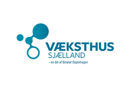 VS Daenemark Logo