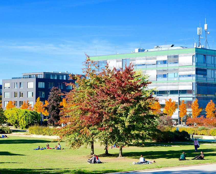 Wissenschaftscampus Luebeck: MFC des Technikzentrum Luebeck (TZL) Campus im Herbst