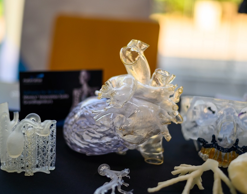 Exponate zum Kunststoff 3D-Druck